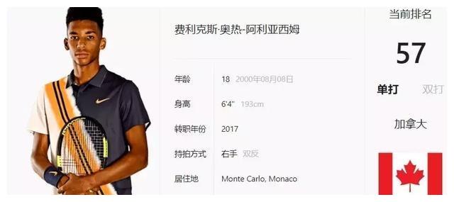 由此可见 由此可见